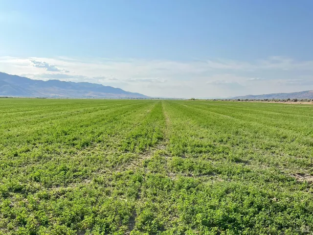 $10,999,999 | 425-940 Constantia Road, Doyle, CA 96109