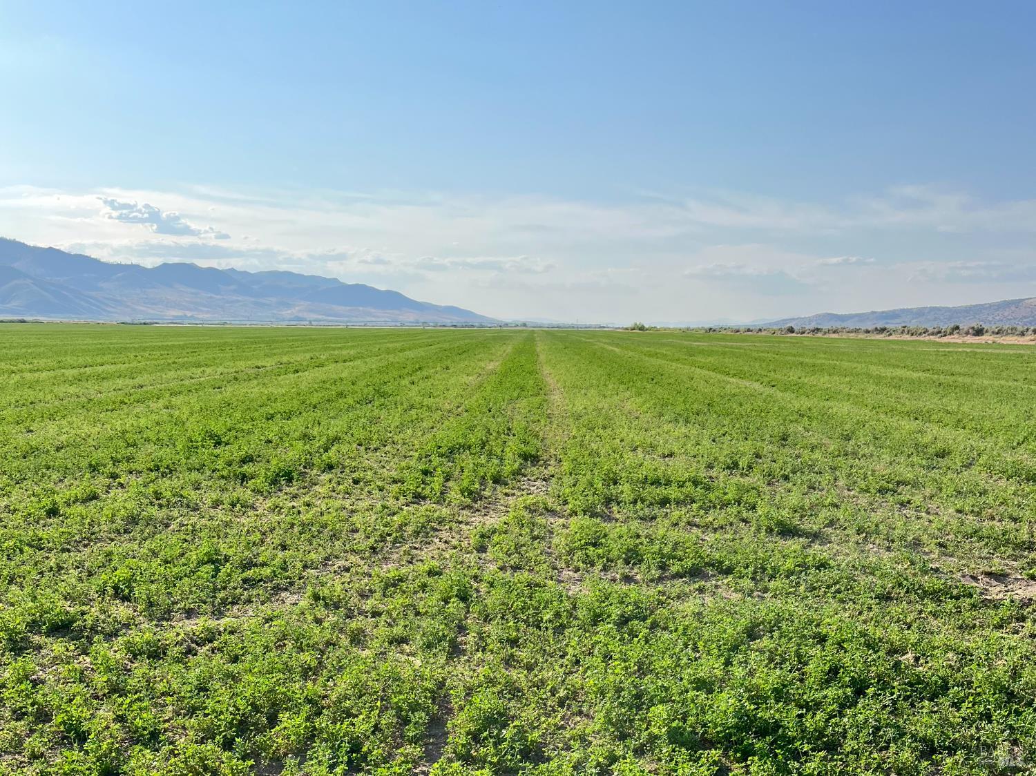 425-940 Constantia Road Doyle, CA 96109 - Photo 46 of 46