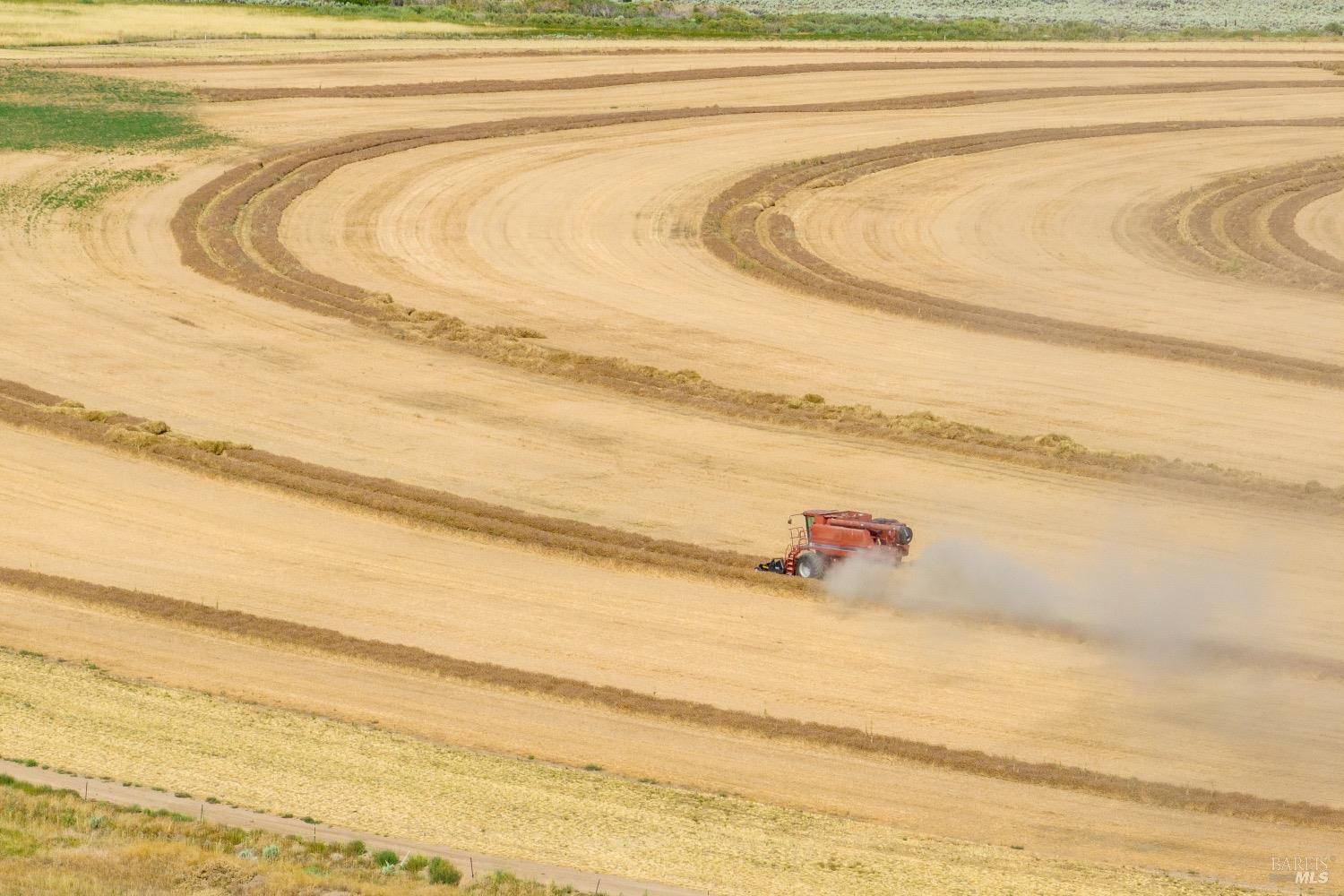 425-940 Constantia Road Doyle, CA 96109 - Photo 5 of 46