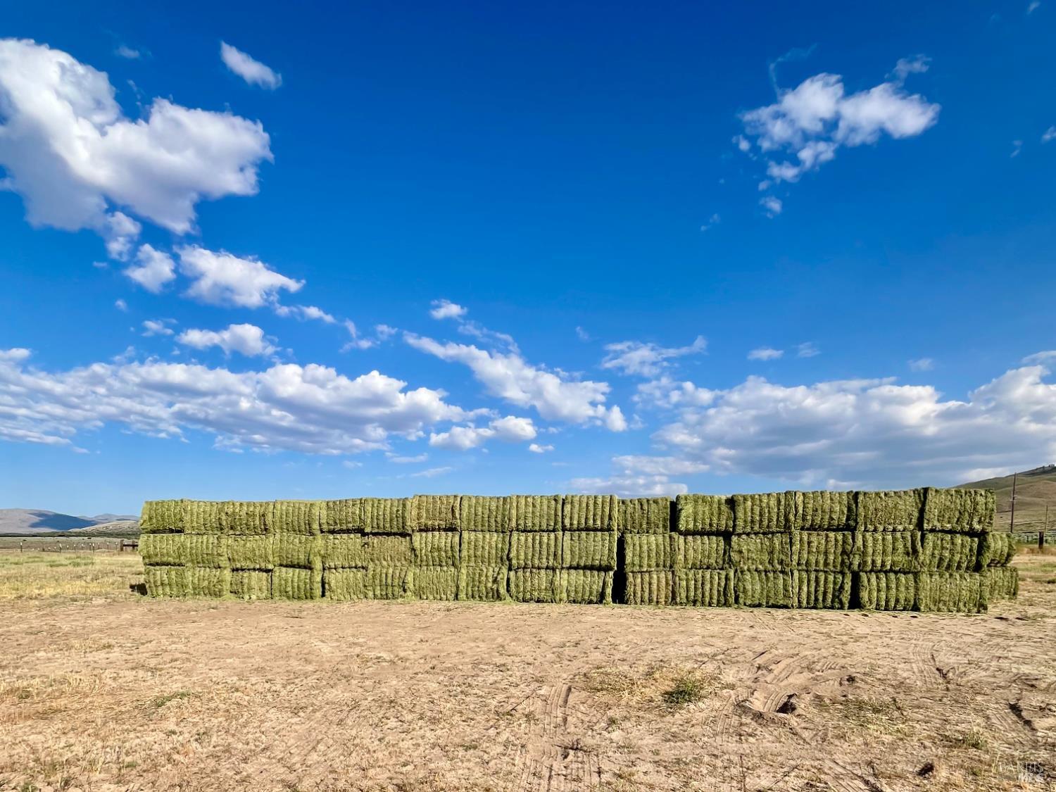 425-940 Constantia Road Doyle, CA 96109 - Photo 8 of 46