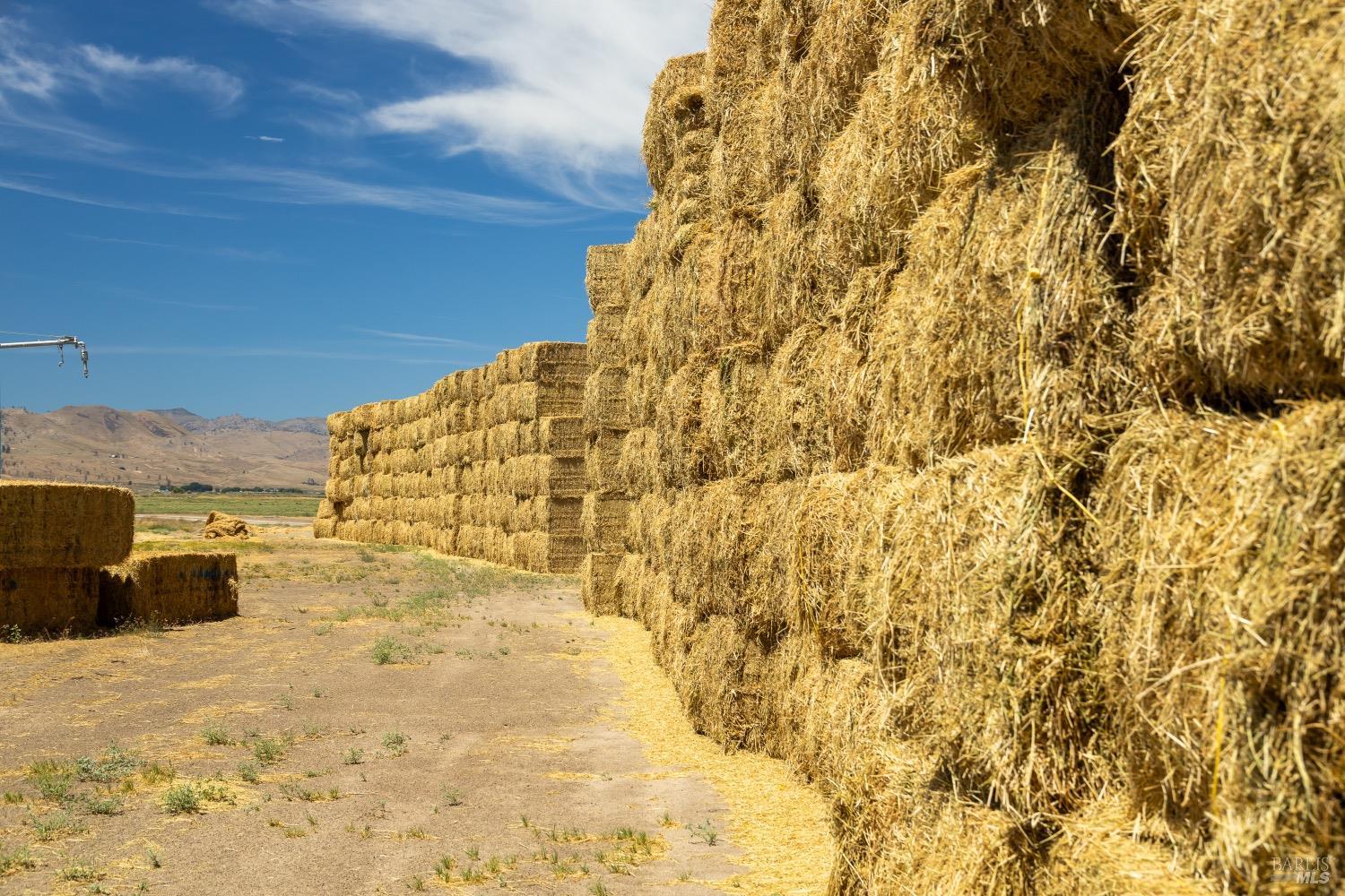 425-940 Constantia Road Doyle, CA 96109 - Photo 9 of 46