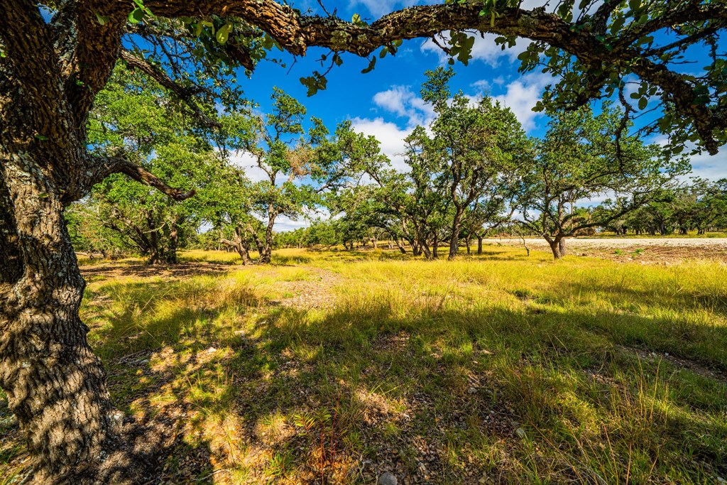 Lot 30 Reservation Road, Unit 30 Harper, TX 78631 - Photo 6 of 7 Gallery Image 6