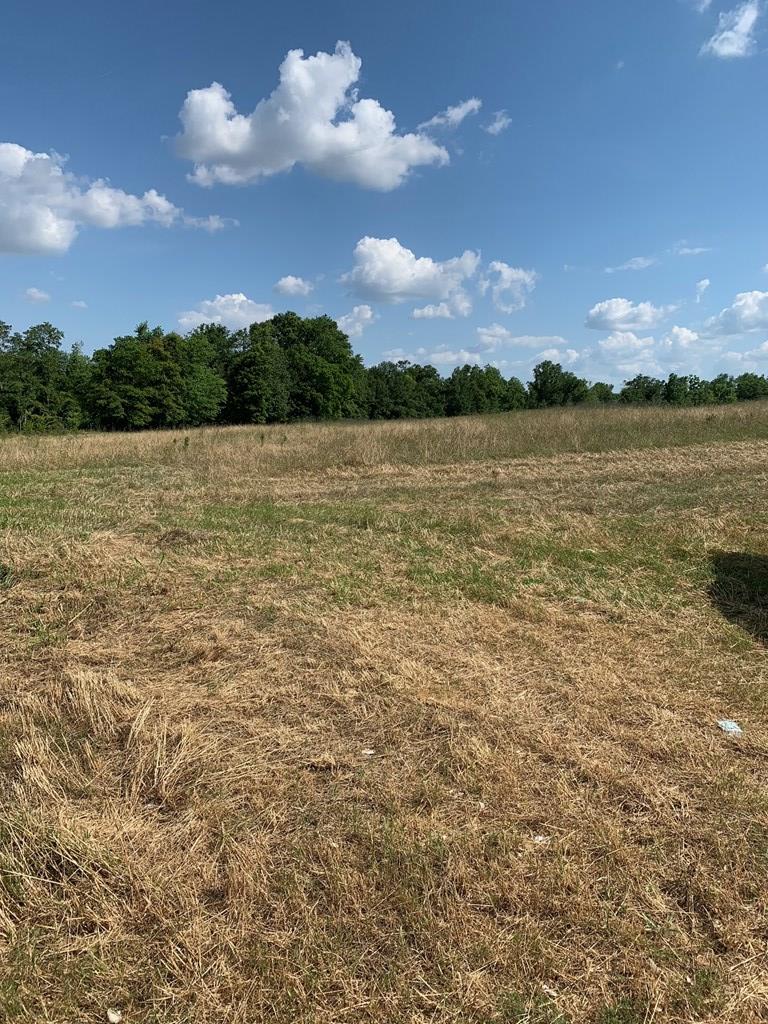 Lot 3 South Co Road Headland, AL 36345 - Photo 6 of 11