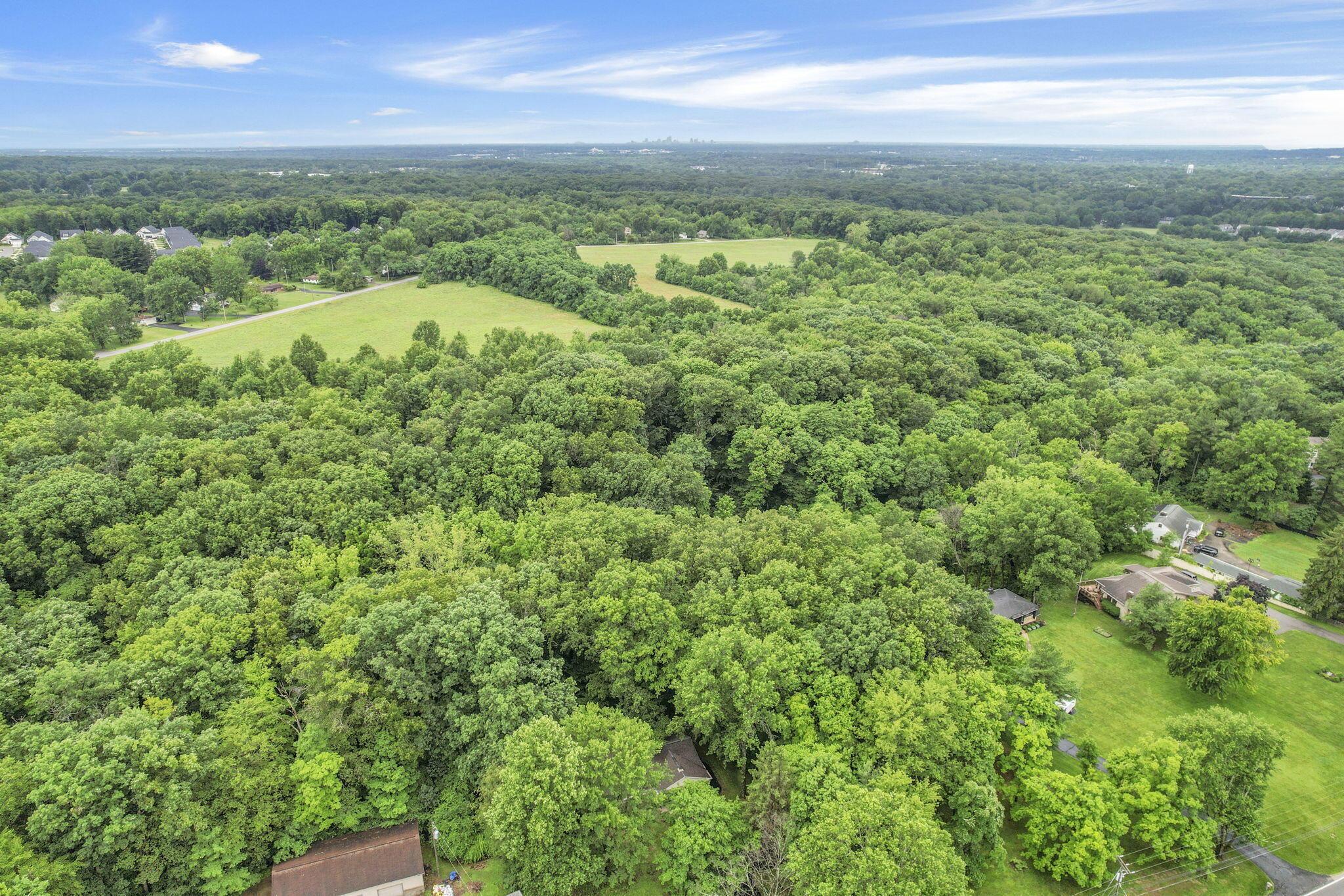 4445 Central College Road Westerville, OH 43081 - Photo 65 of 65 27-web-or-mls-DJI_0696