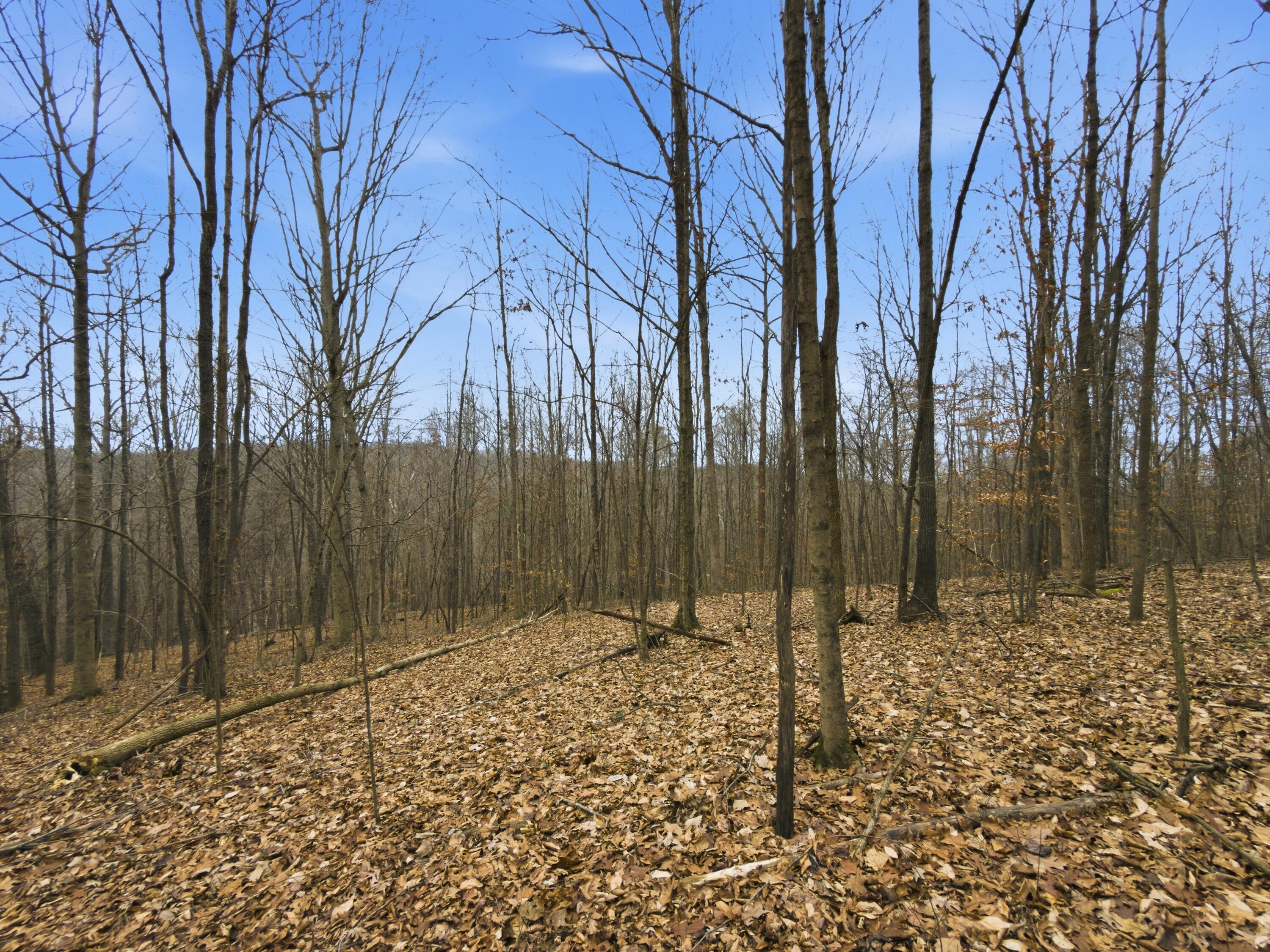 0 East Side Geer Mill Road Vinton, OH 45686 - Photo 17 of 27 IMG_4805