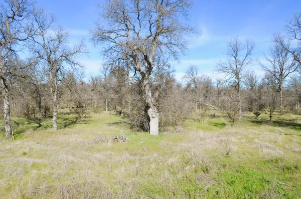 $275,000 | 18450 April Island Way, Cottonwood, CA 96022