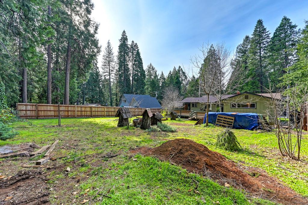 2917 Shadow Lane Pollock Pines, CA 95726 - Photo 28 of 29 a view of a house with backyard