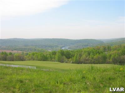 106 Bethpage Terrace Easton, PA 18042 - Photo 21 of 21 a view of a field with an trees