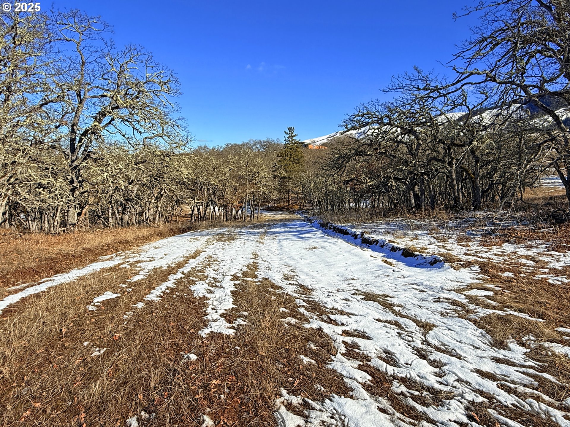 Centerville Highway, Unit 3 Lyle, WA 98635 - Photo 11 of 40 a view of side of a building