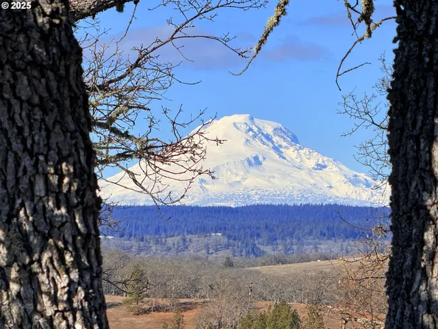 a view of a covered with snow in the background