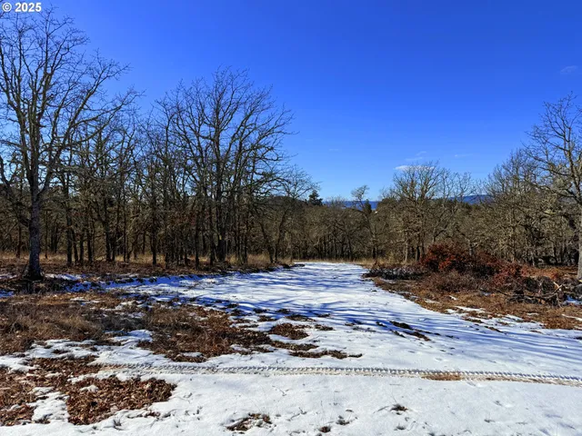 a view of a covered with snow in the background