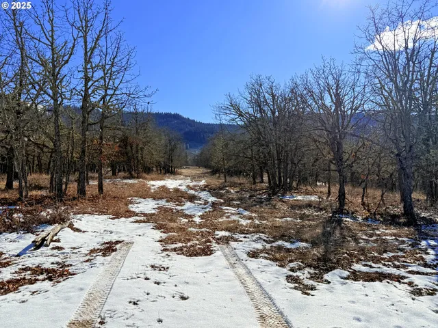 a view of a backyard of the house