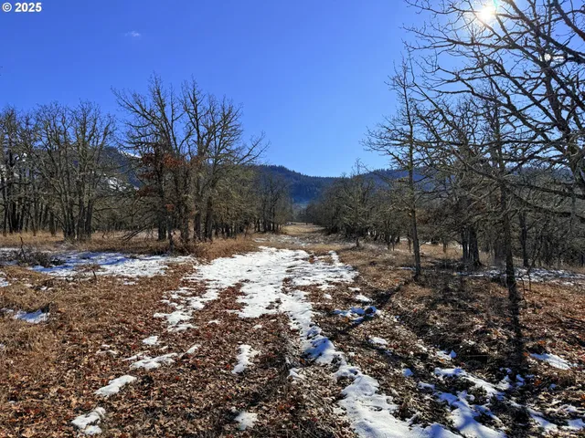 a view of a yard covered in snow