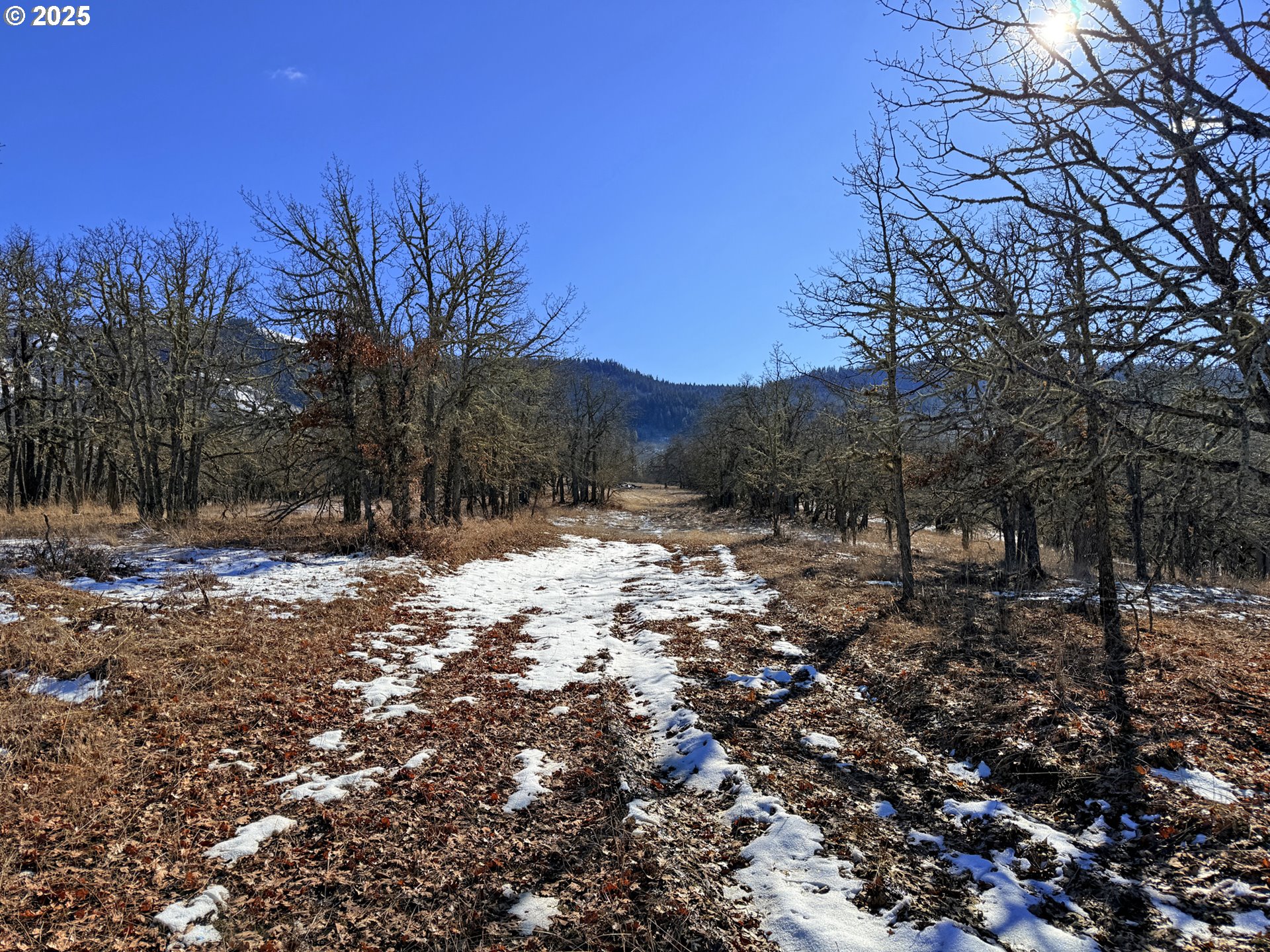 Centerville Highway, Unit 3 Lyle, WA 98635 - Photo 15 of 40 a view of a covered with snow in the background
