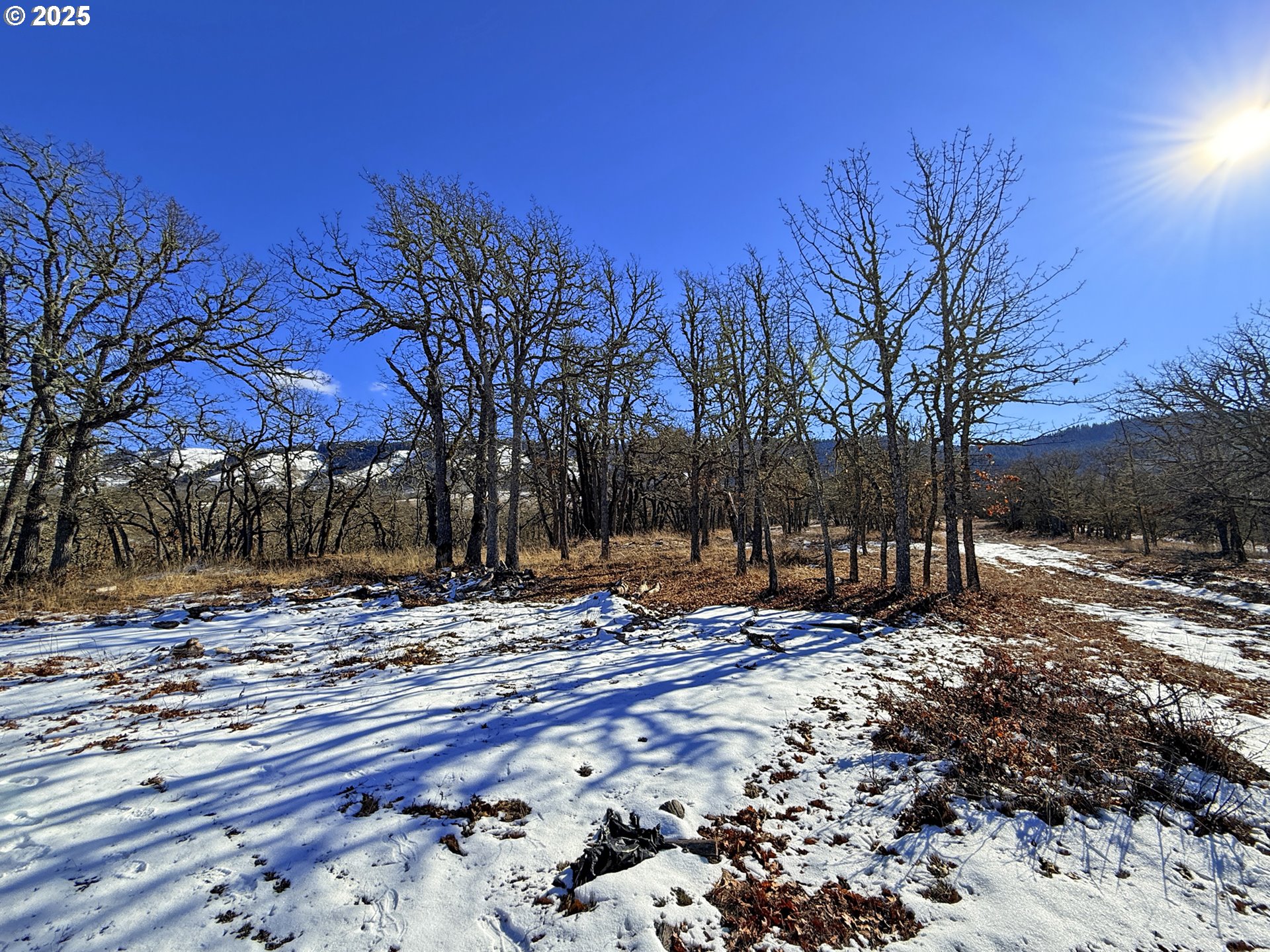 Centerville Highway, Unit 3 Lyle, WA 98635 - Photo 16 of 40 a view of a backyard of the house