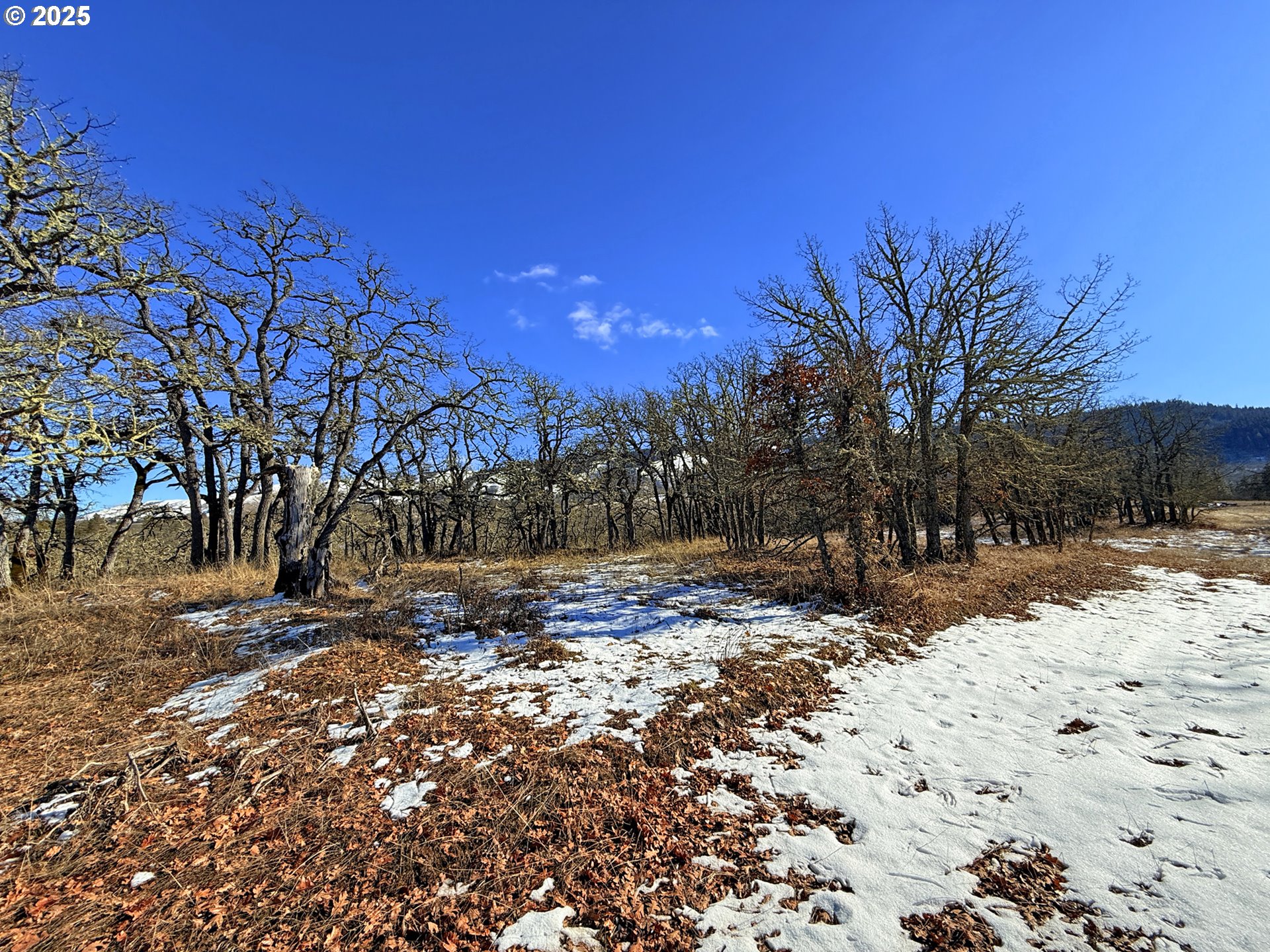 Centerville Highway, Unit 3 Lyle, WA 98635 - Photo 17 of 40 a view of a yard covered in snow