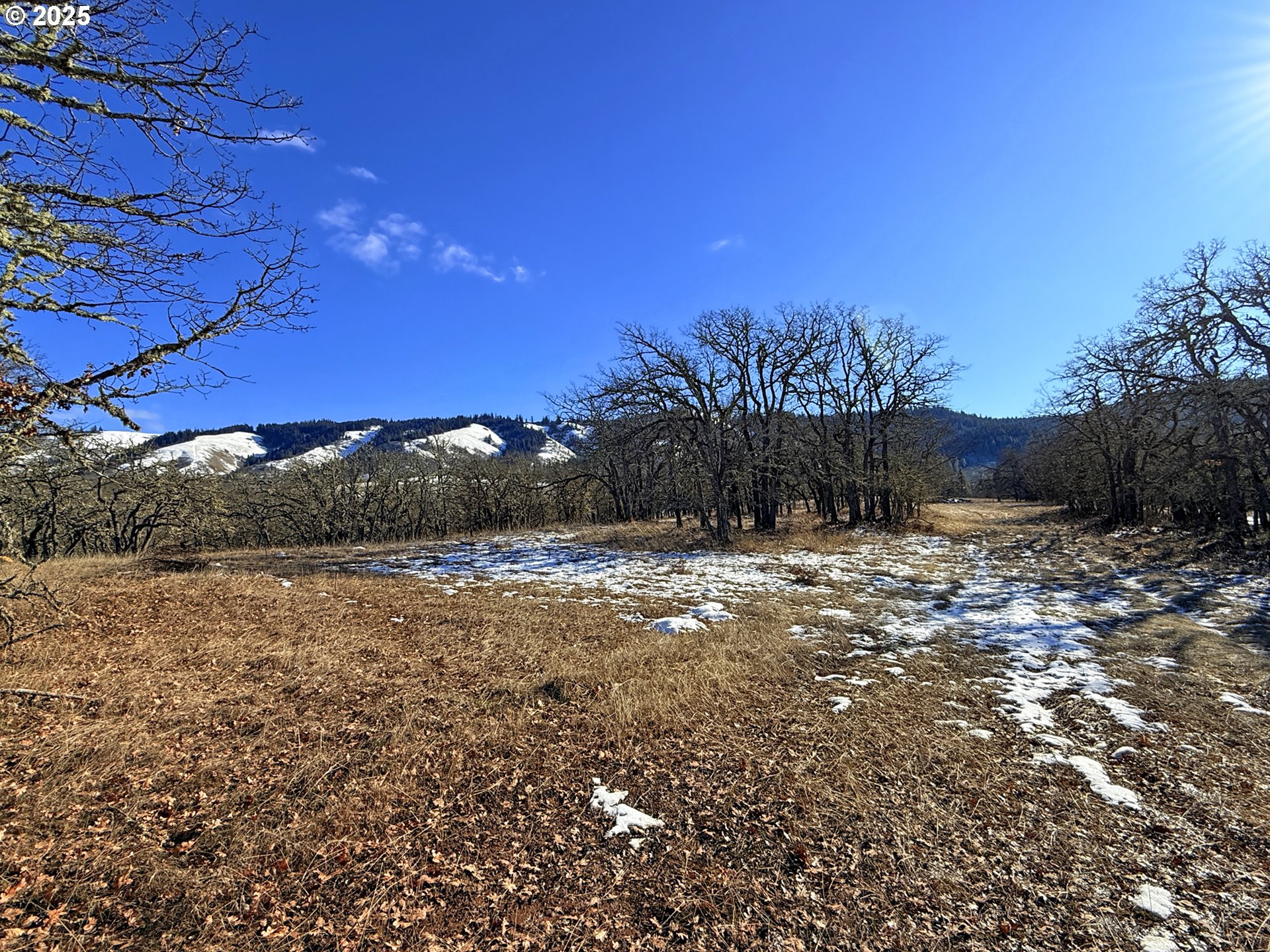 Centerville Highway, Unit 3 Lyle, WA 98635 - Photo 18 of 40 a view of a yard with an outdoor space