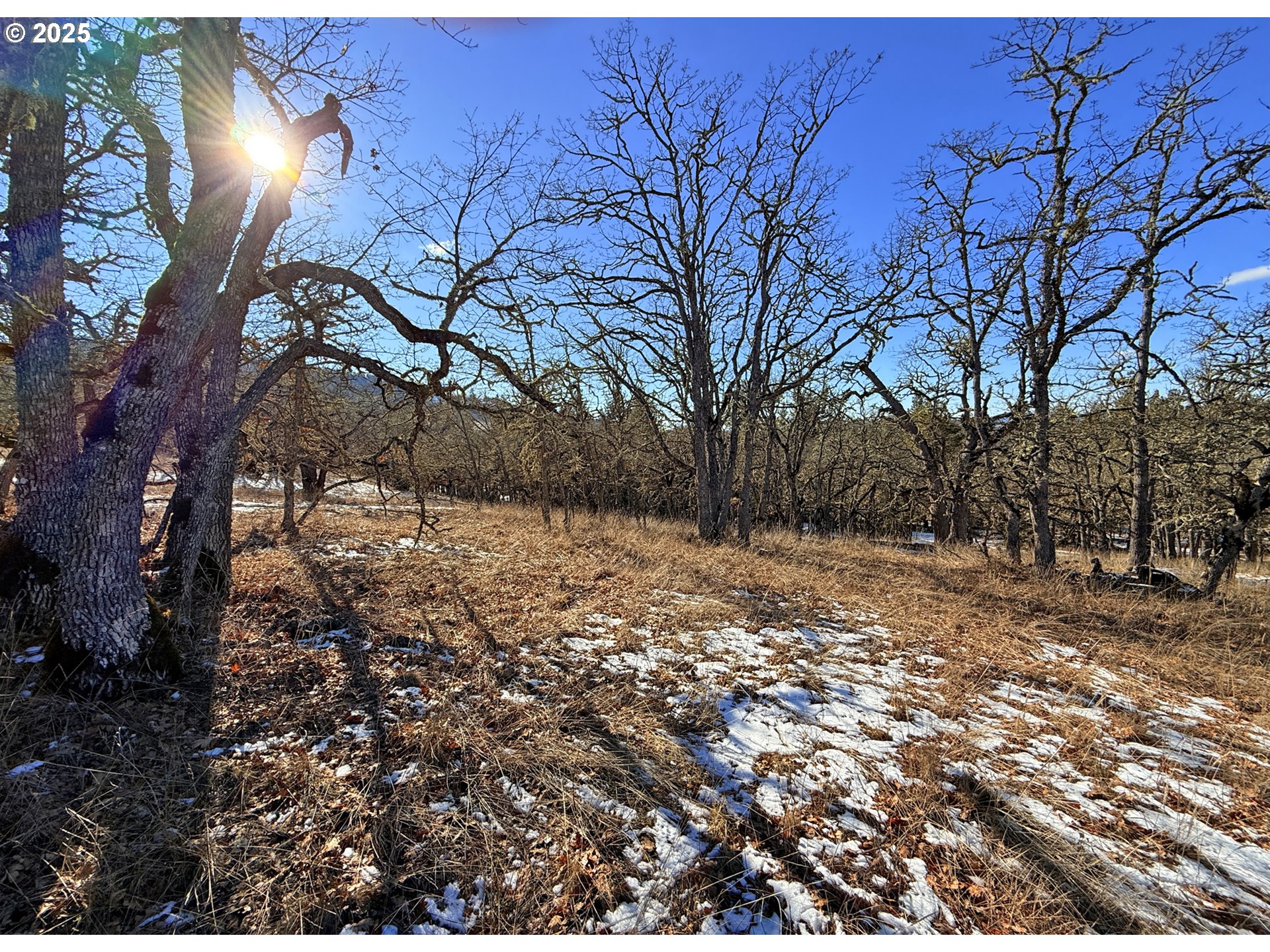 Centerville Highway, Unit 3 Lyle, WA 98635 - Photo 20 of 40 a view of road covered with snow