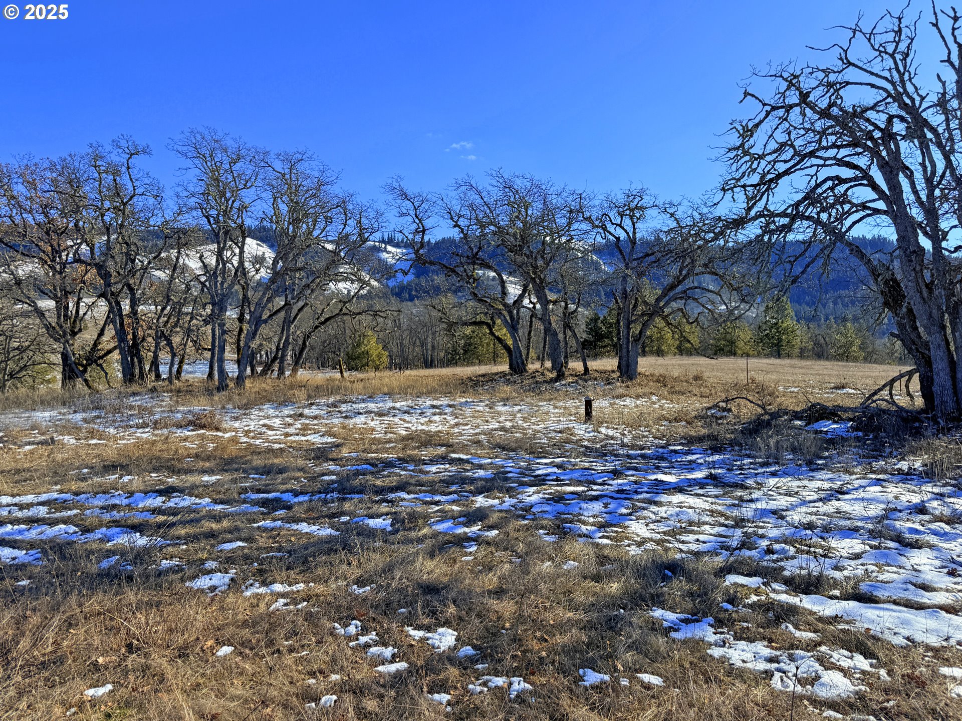 Centerville Highway, Unit 3 Lyle, WA 98635 - Photo 2 of 40 a view of yard covered with snow