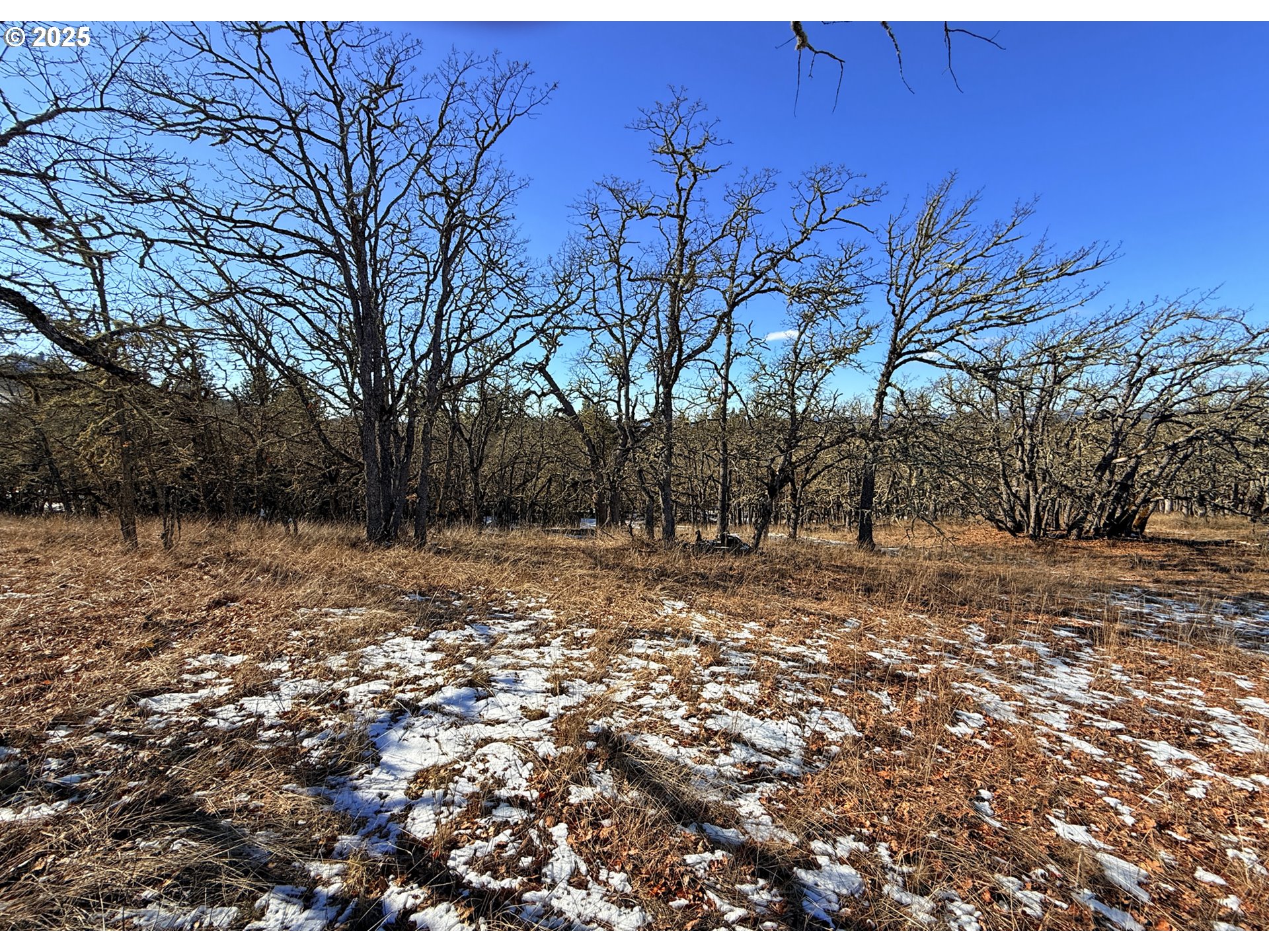 Centerville Highway, Unit 3 Lyle, WA 98635 - Photo 21 of 40 a view of a yard with trees