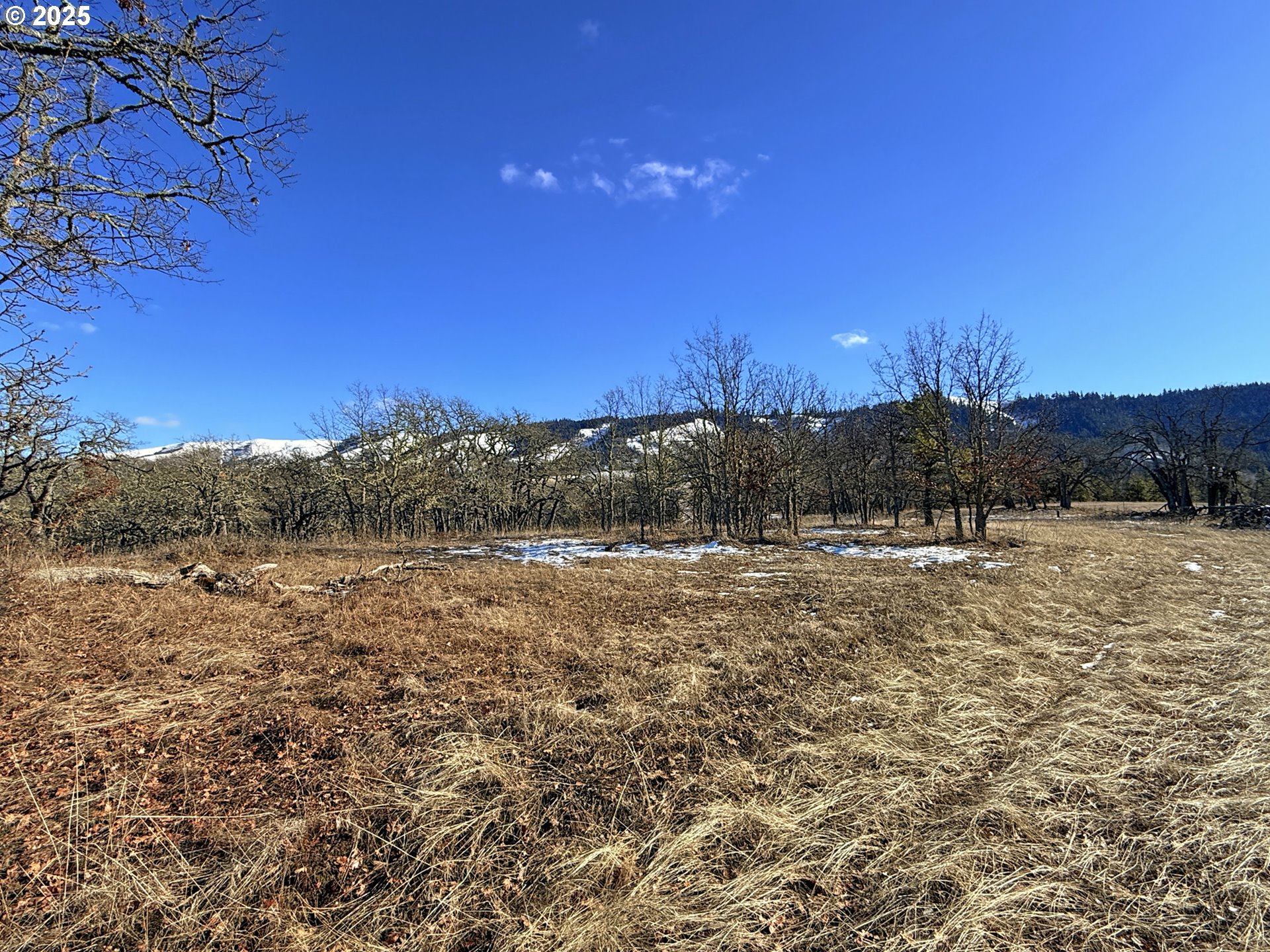 Centerville Highway, Unit 3 Lyle, WA 98635 - Photo 23 of 40