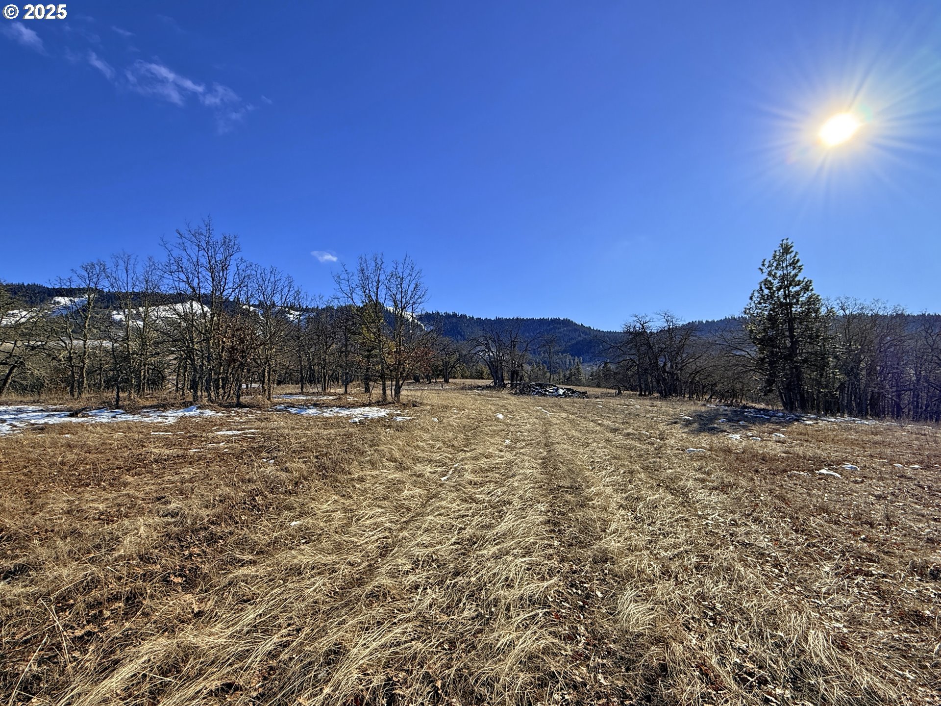 Centerville Highway, Unit 3 Lyle, WA 98635 - Photo 24 of 40 a view of a yard with a tree