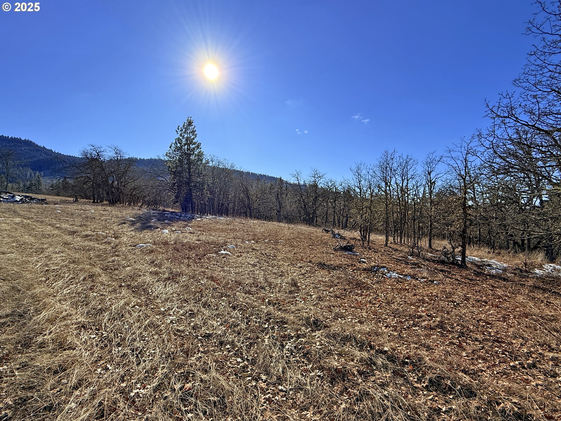 Centerville Highway, Unit 3 Lyle, WA 98635 - Photo 25 of 40 a view of a yard