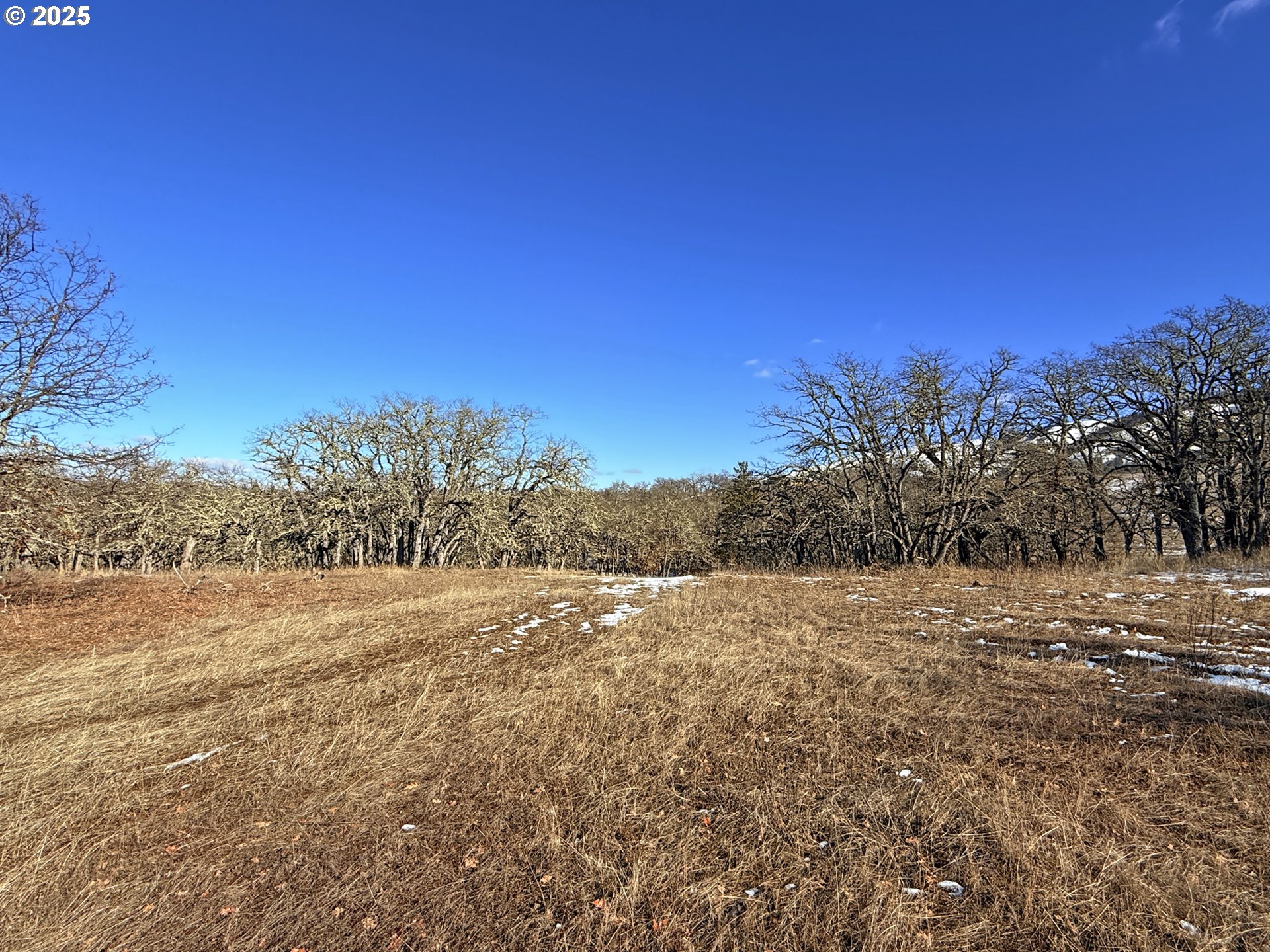 Centerville Highway, Unit 3 Lyle, WA 98635 - Photo 26 of 40 a view of an outdoor space with mountain view