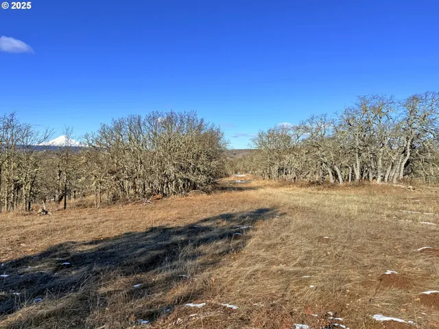 a view of empty space with trees