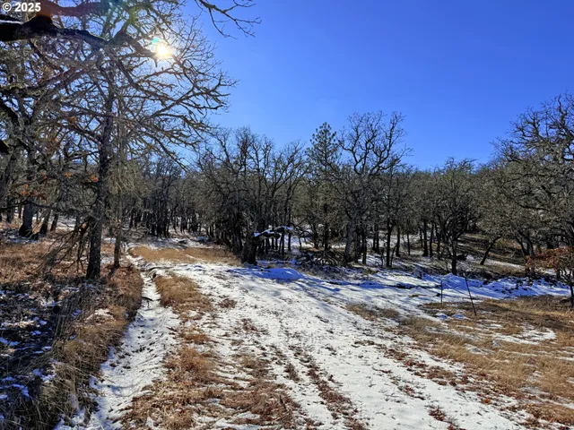 a view of covered with snow