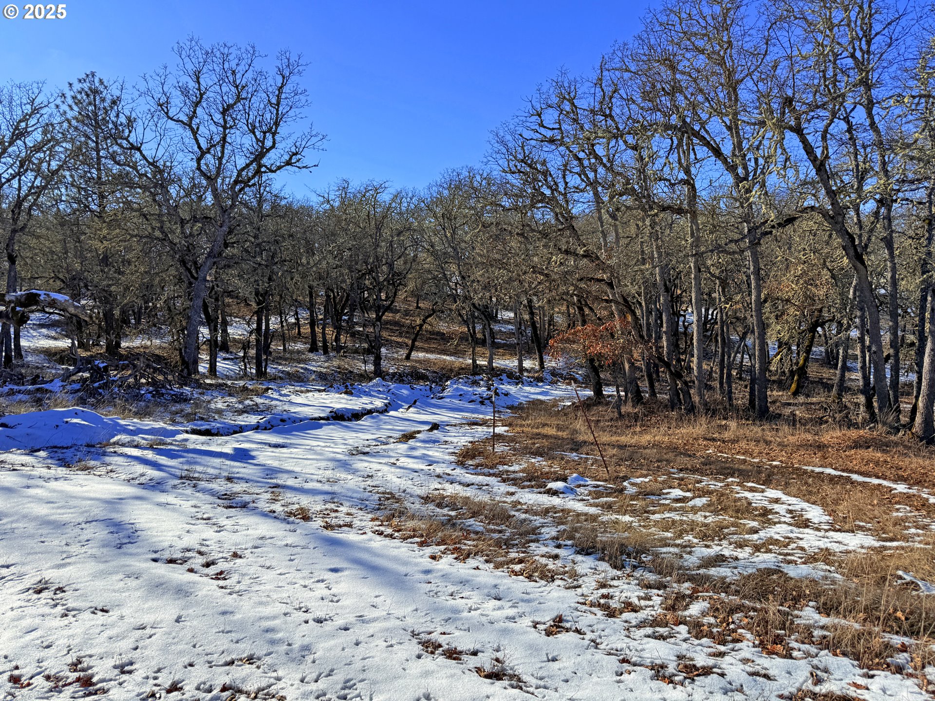 Centerville Highway, Unit 3 Lyle, WA 98635 - Photo 30 of 40 a view of road with trees