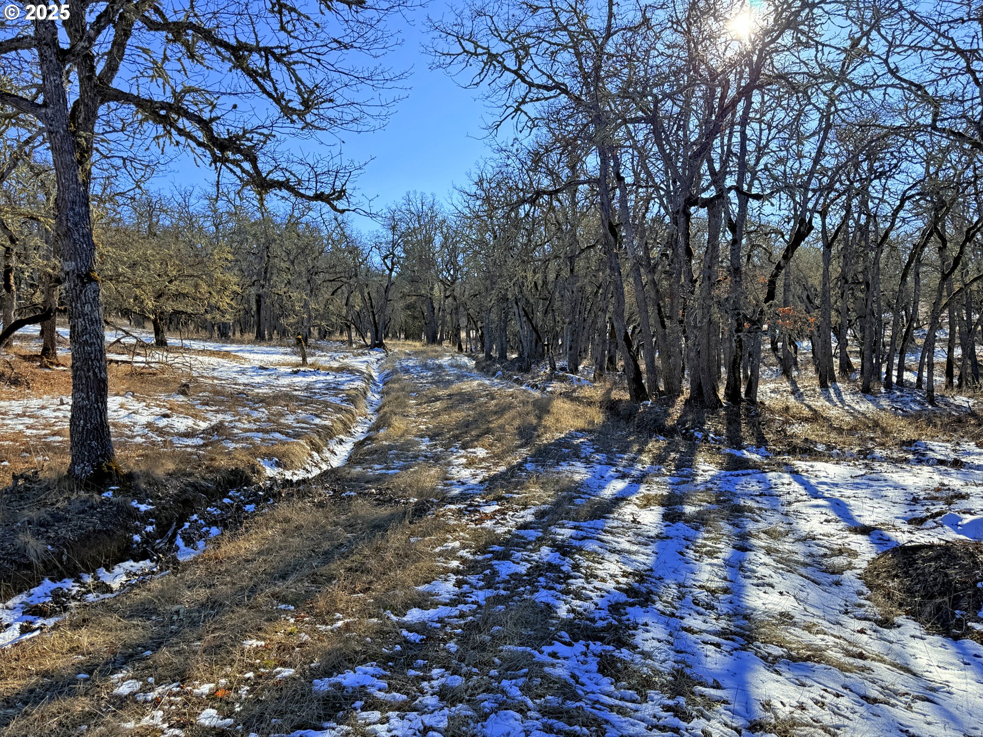 Centerville Highway, Unit 3 Lyle, WA 98635 - Photo 31 of 40 a view of empty space with trees
