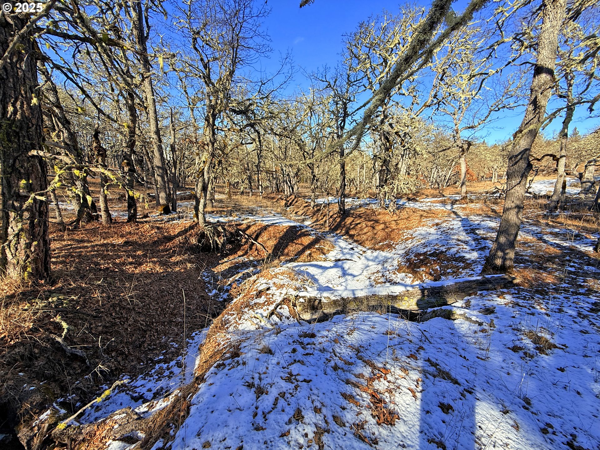 Centerville Highway, Unit 3 Lyle, WA 98635 - Photo 32 of 40 a view of covered with snow