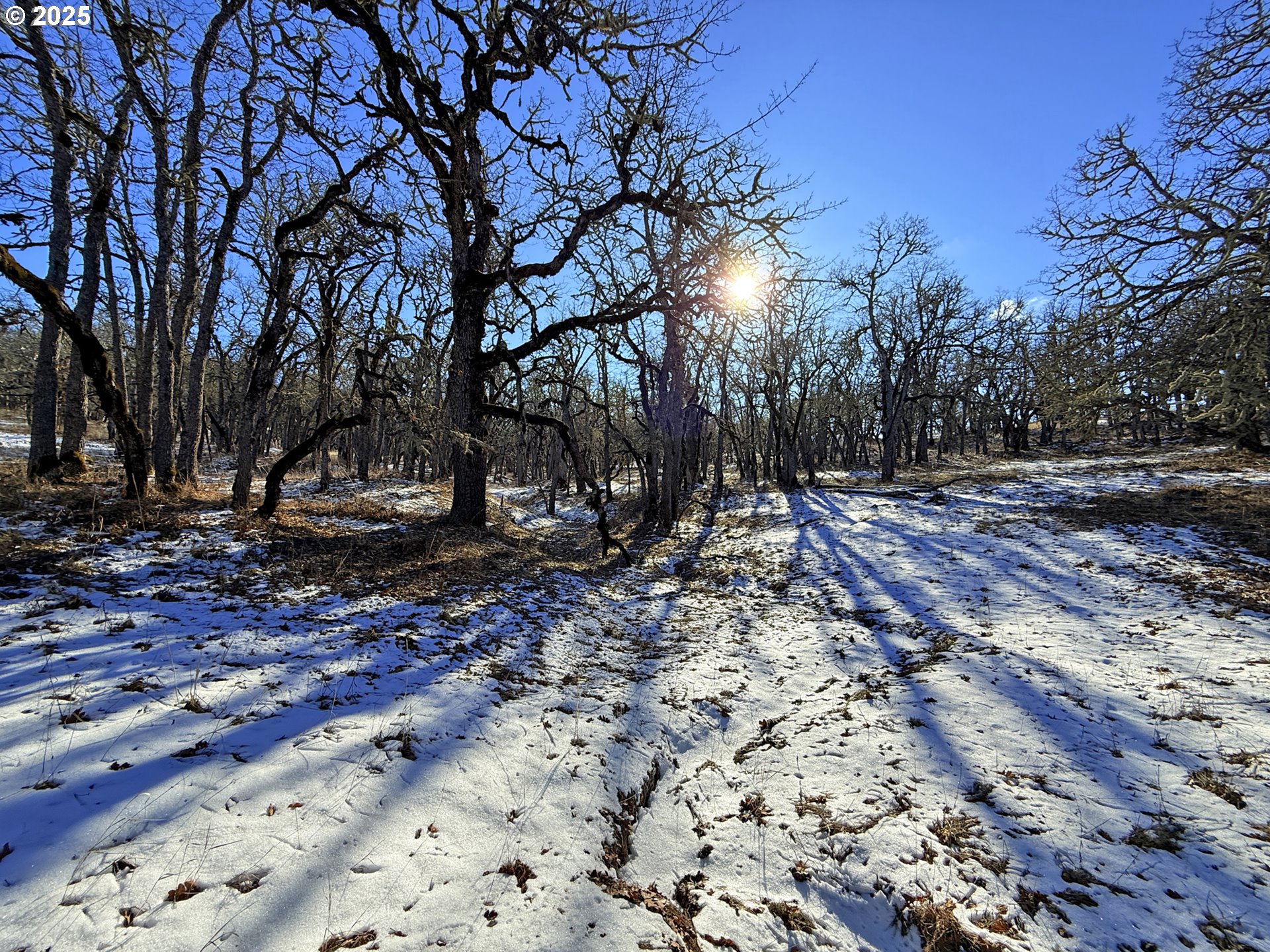 Centerville Highway, Unit 3 Lyle, WA 98635 - Photo 33 of 40 a view of outdoor space with trees