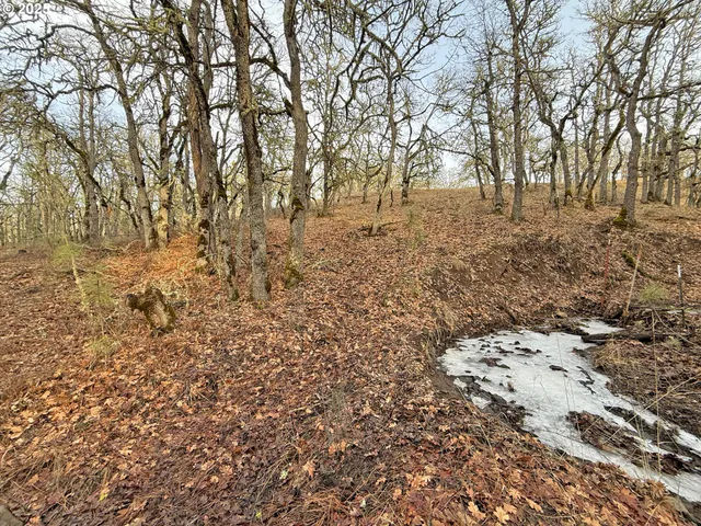 a view of a yard with large trees