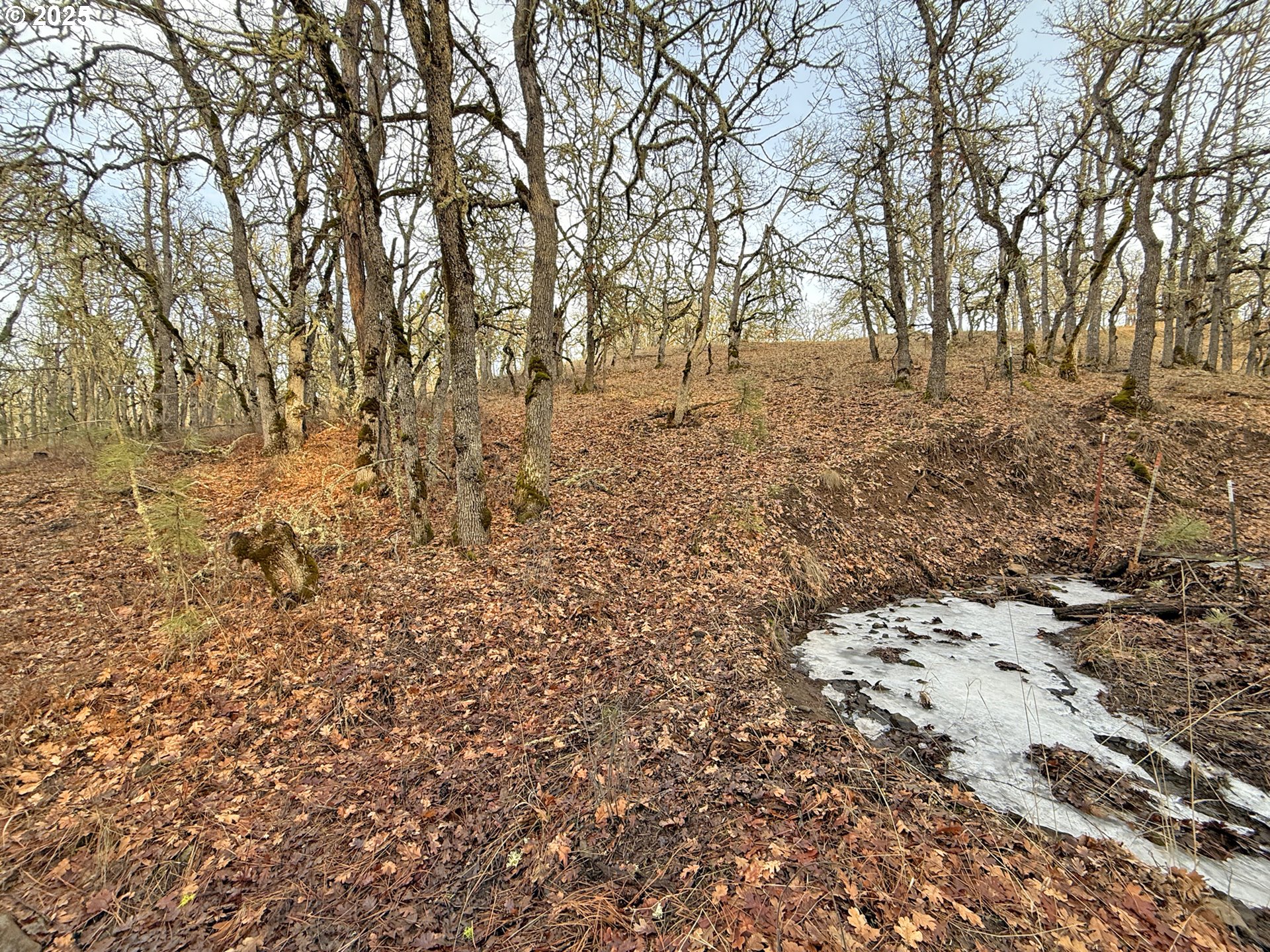 Centerville Highway, Unit 3 Lyle, WA 98635 - Photo 35 of 40 a view of covered with green space