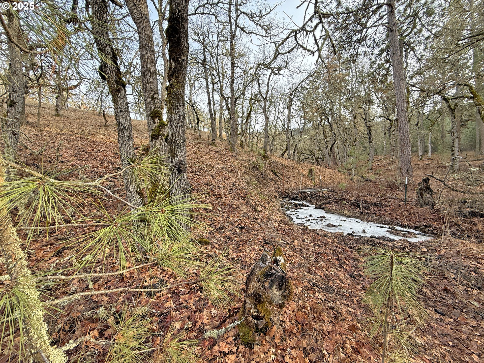 Centerville Highway, Unit 3 Lyle, WA 98635 - Photo 36 of 40 a view of a yard with large trees