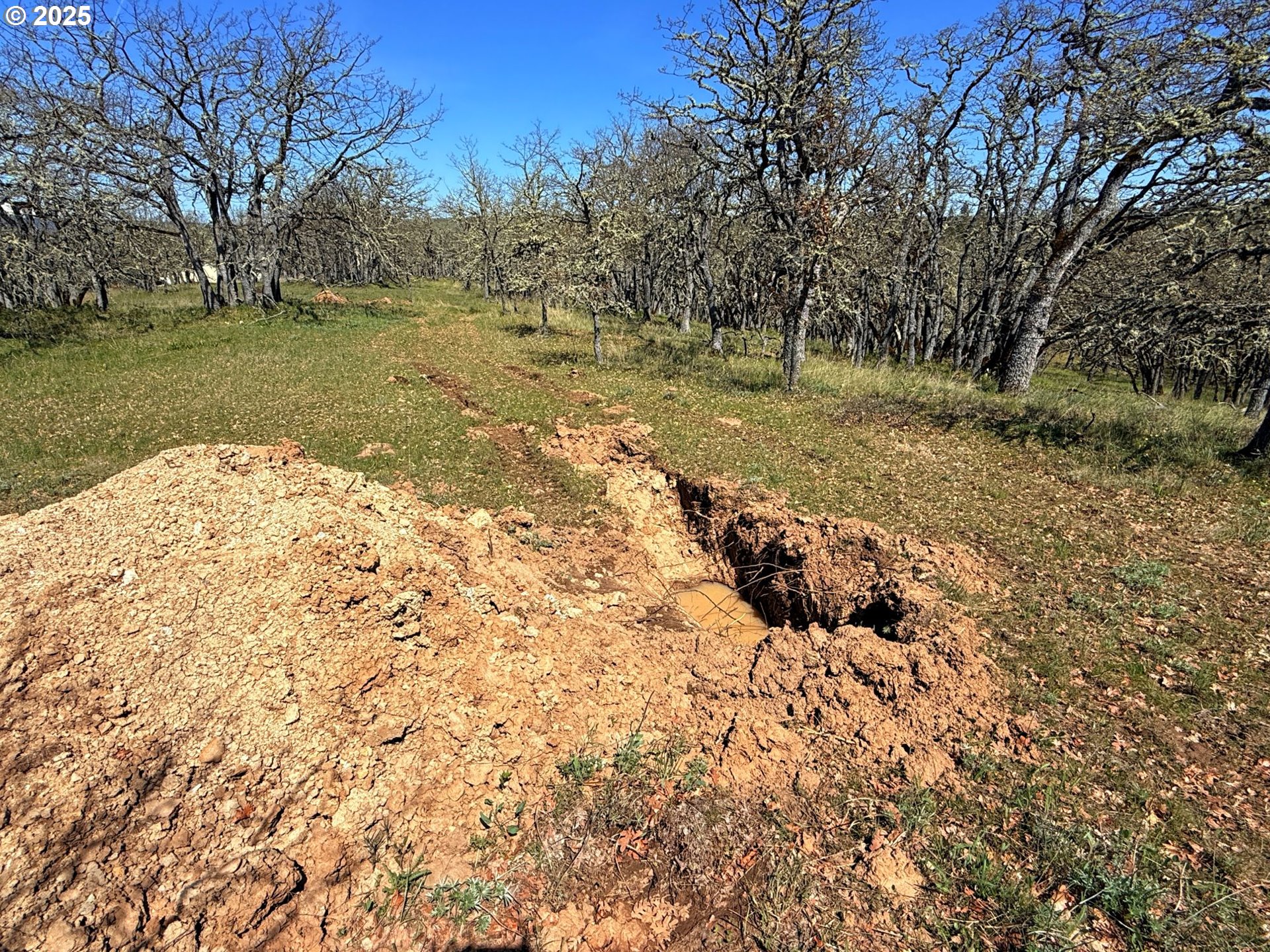 Centerville Highway, Unit 3 Lyle, WA 98635 - Photo 38 of 40 a view of a yard with large trees