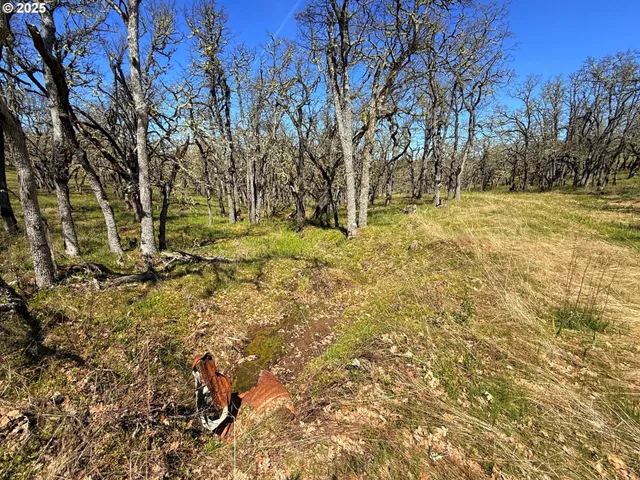 $229,900 | Centerville Highway, Unit 3, Lyle, WA 98635