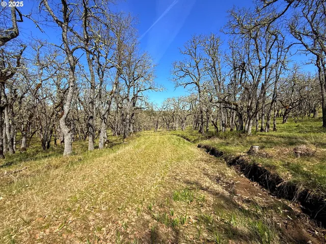 $229,900 | Centerville Highway, Unit 3, Lyle, WA 98635