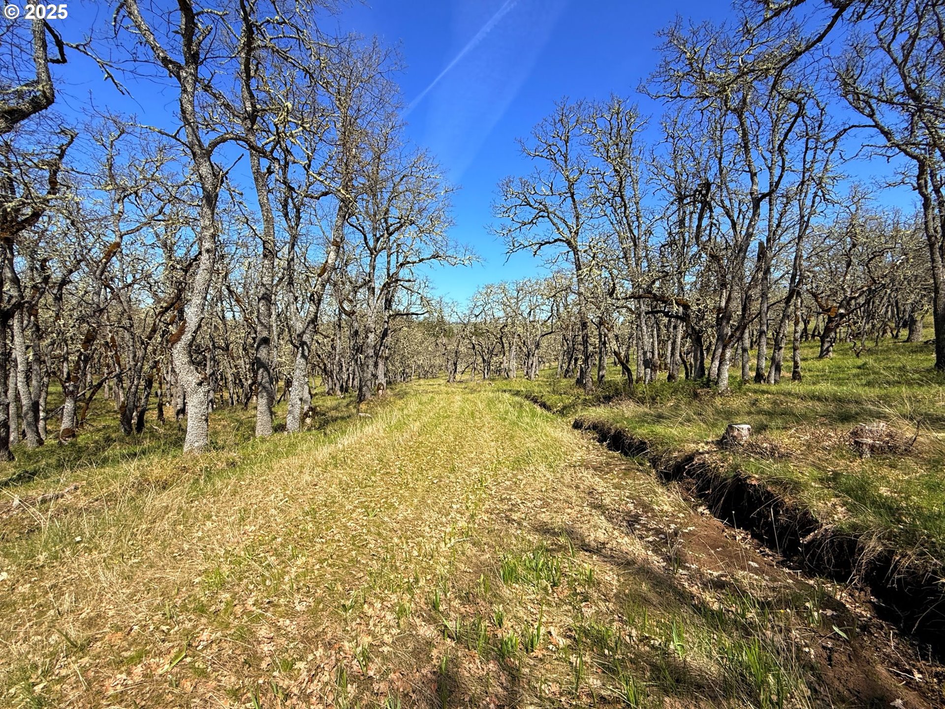 Centerville Highway, Unit 3 Lyle, WA 98635 - Photo 40 of 40 a view of a yard with trees