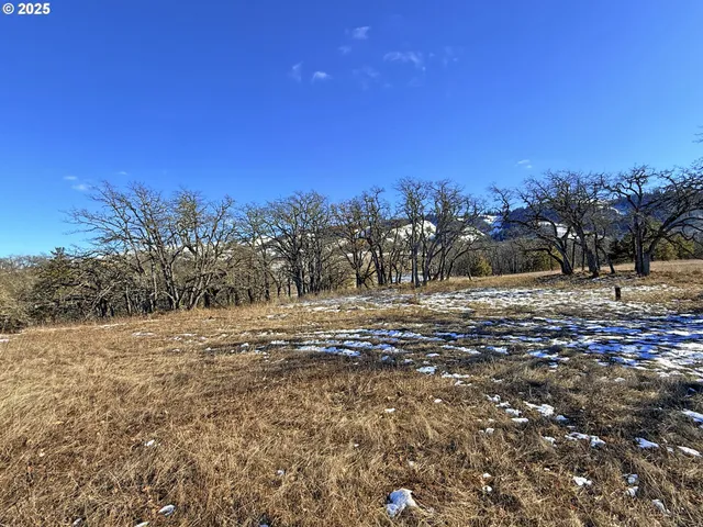 a view of a road with an ocean view