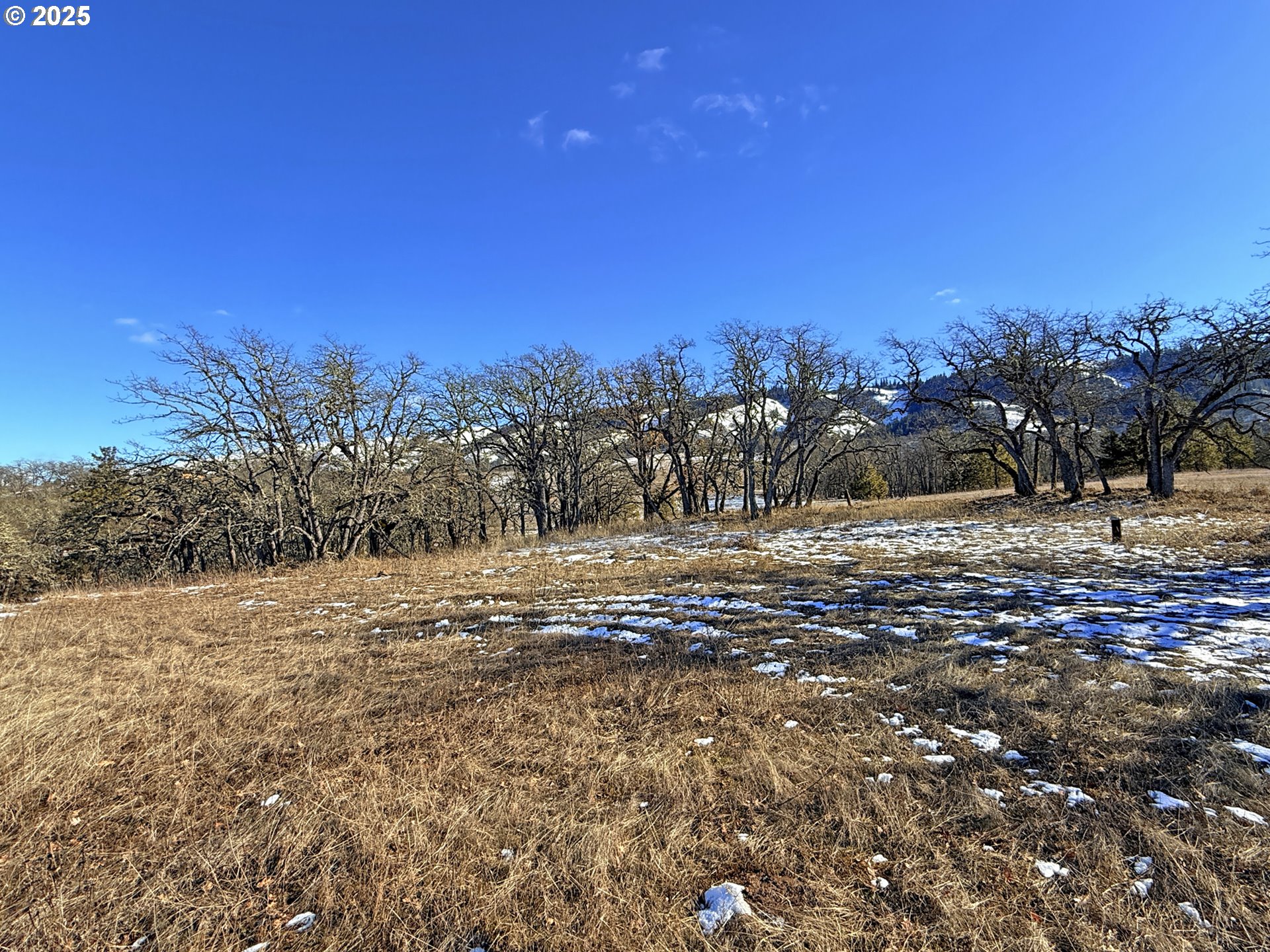 Centerville Highway, Unit 3 Lyle, WA 98635 - Photo 7 of 40 a view of a yard with a tree