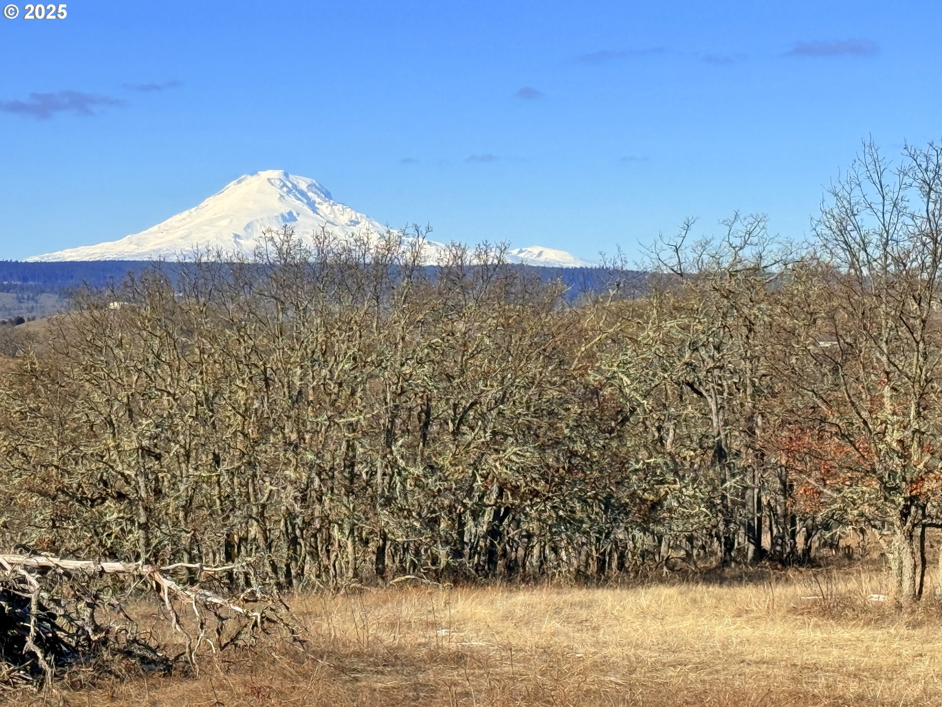 Centerville Highway, Unit 3 Lyle, WA 98635 - Photo 8 of 40