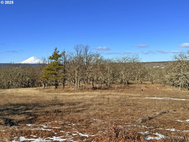 a view of a yard with an outdoor space