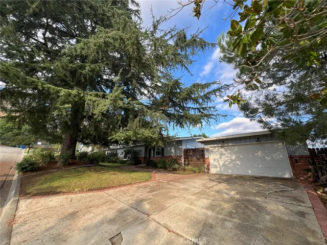 a view of a yard with plants and a tree