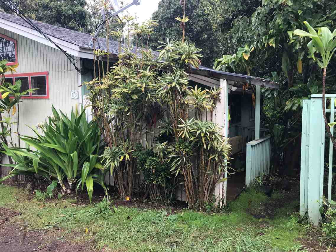15 Olinda Road Makawao, HI 96768 - Photo 12 of 18 a view of a house with a tree