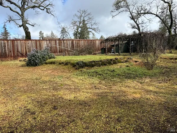 a view of backyard with tree