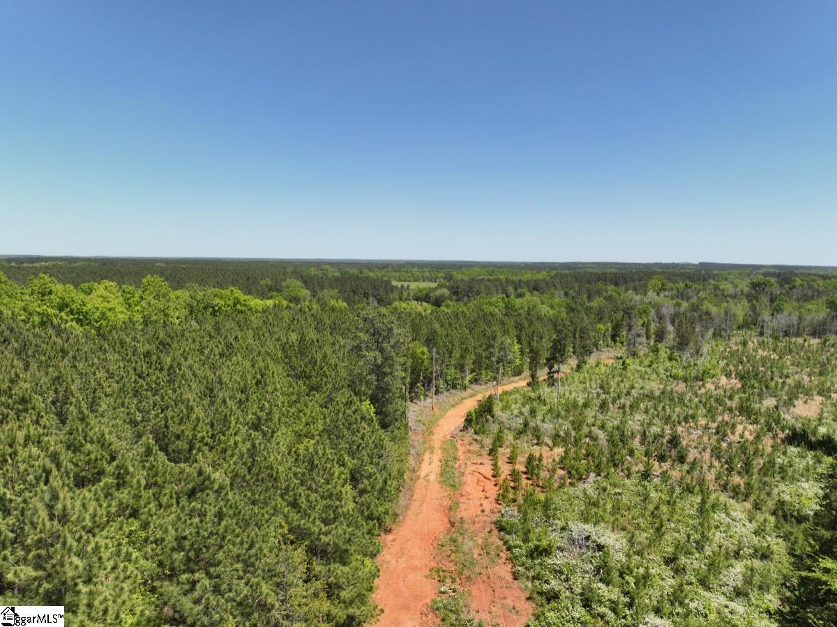 0 Sawney Road Calhoun Falls, SC 29628 - Photo 2 of 32 Gallery Image 2