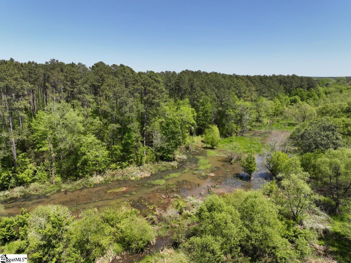 0 Sawney Road Calhoun Falls, SC 29628 - Photo 22 of 32 Gallery Image 22